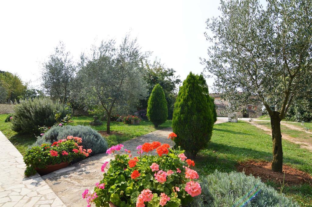 Garden Apartment Maria Vrsar Kültér fotó