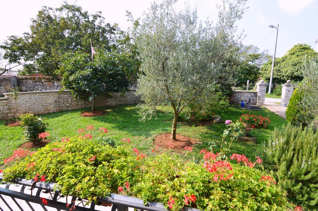 Garden Apartment Maria Vrsar Kültér fotó